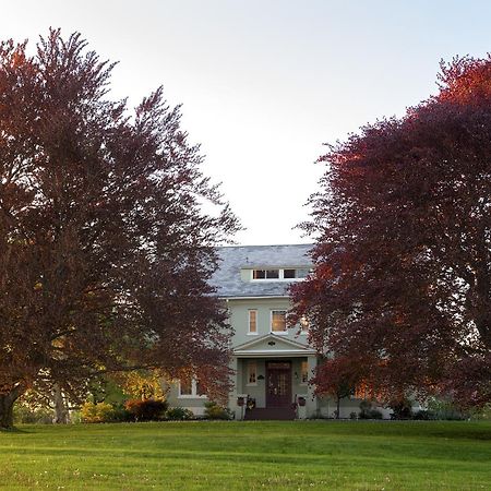 Yale Manor B&B & Yurt Glamping Exteriör bild