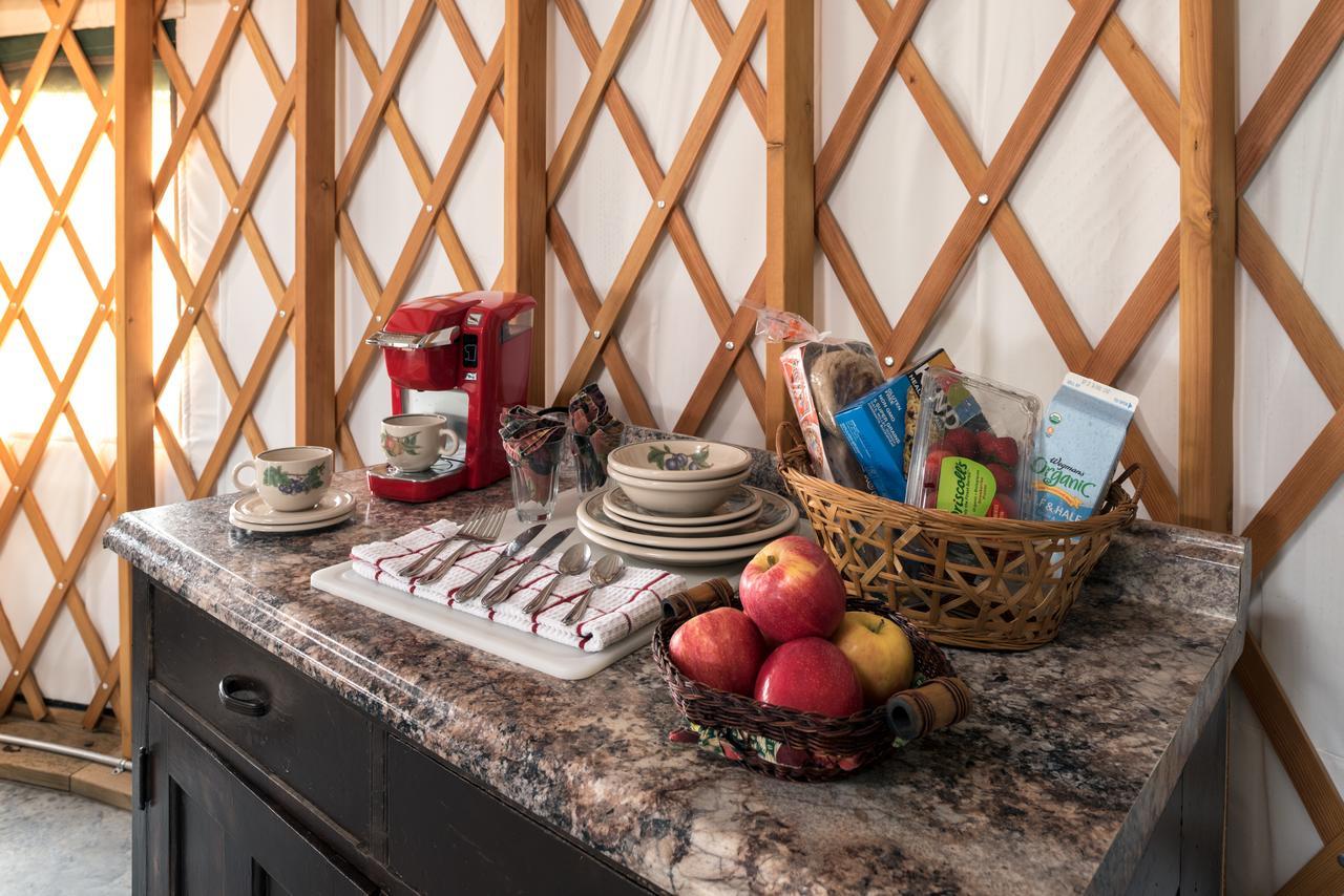 Yale Manor B&B & Yurt Glamping Exteriör bild