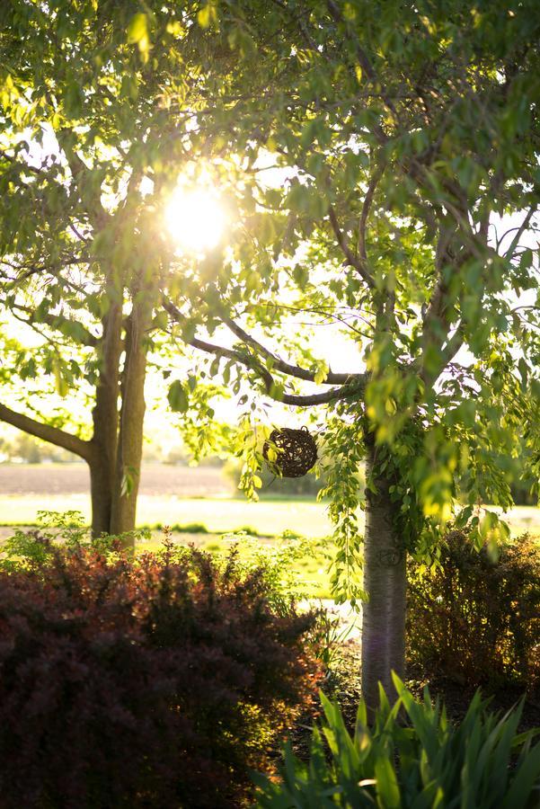 Yale Manor B&B & Yurt Glamping Exteriör bild