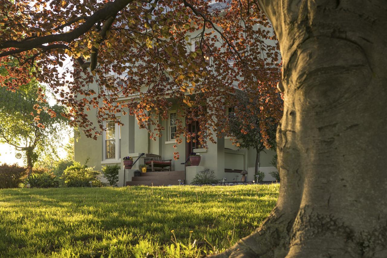 Yale Manor B&B & Yurt Glamping Exteriör bild