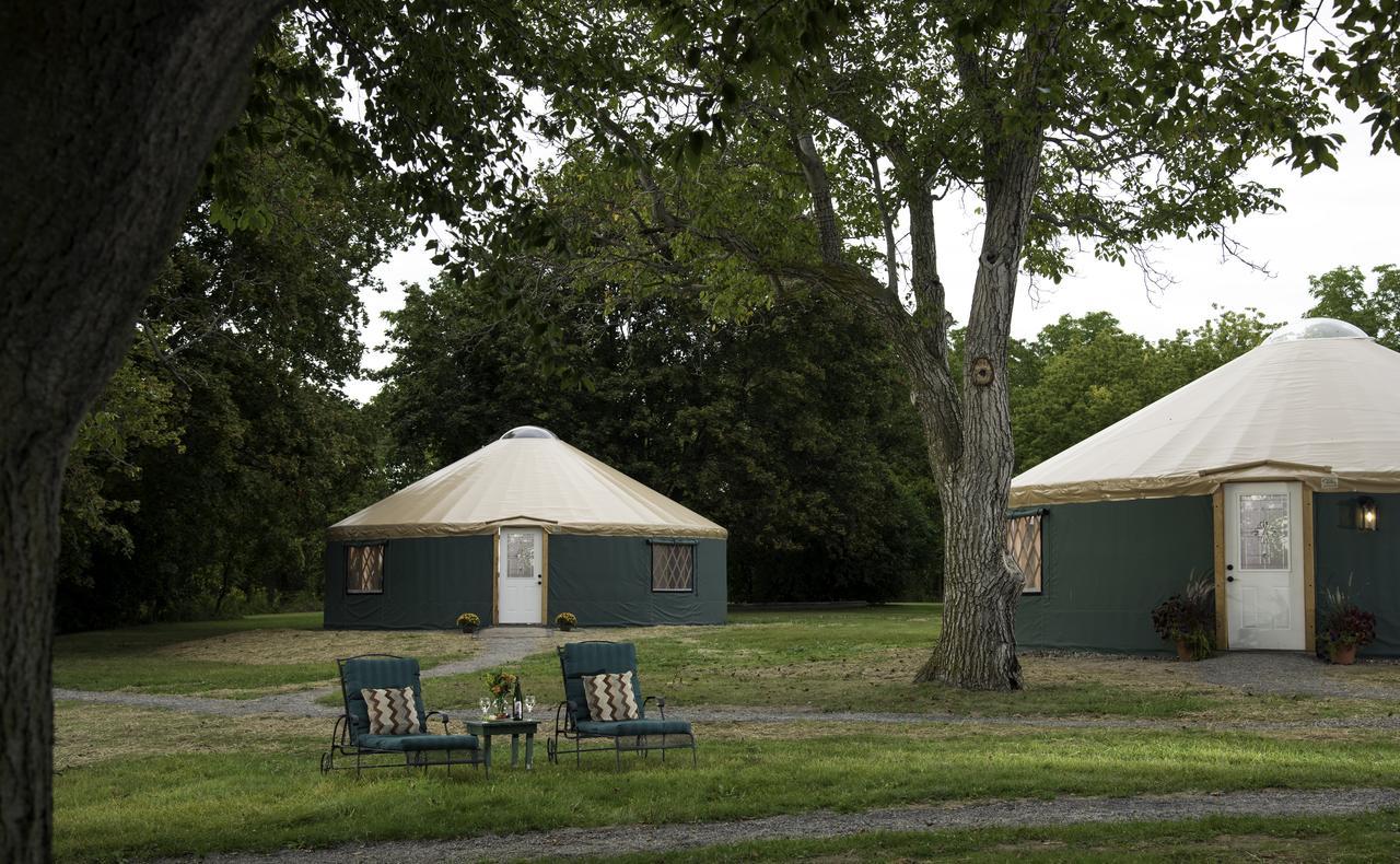 Yale Manor B&B & Yurt Glamping Exteriör bild